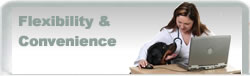Dog Training Los Angeles