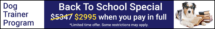 Back to School Special Back to School Special