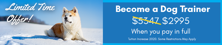 Back to School Special - Save big on Tuition