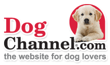 DogChannelLogo.gif