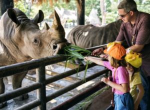 Humane Zoos