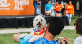 is blowing bubbles bad for dogs