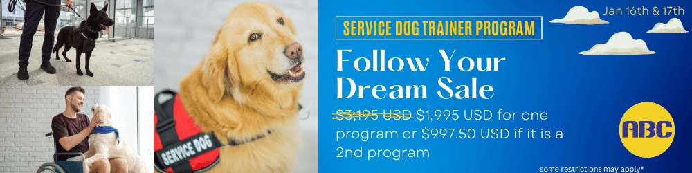 training-service-dogs-how-to-become-a-service-dog-trainer