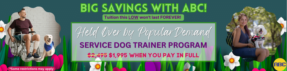 a dog trainer salary