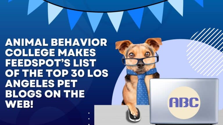 Animal Behavior College Makes Feedspot’s List of the Top 30 Los Angeles Pet Blogs on the Web!