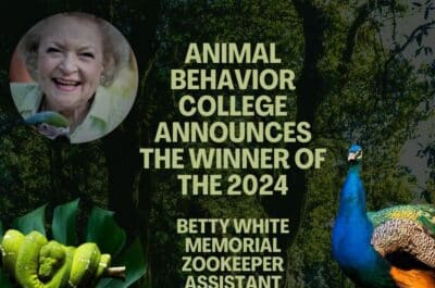 animal Behavior College announces the winner of the 2024 Betty White Memorial Zookeeper Assistant Program Scholarship