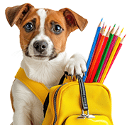Questions? Call our Staff