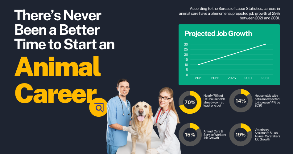 There's never been a better time to start an animal career!